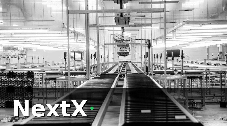 NextX — 1. Hiểu Rõ 