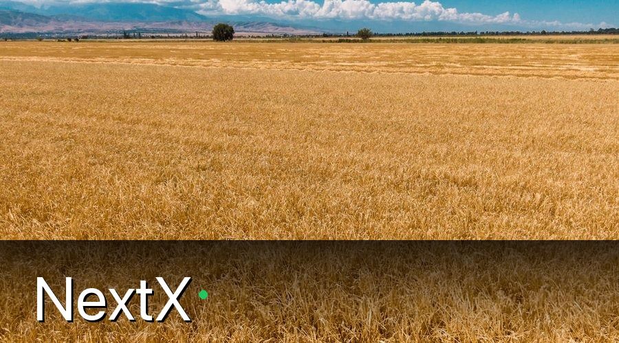 NextX — 3. Drone và thiết bị bay không người lái