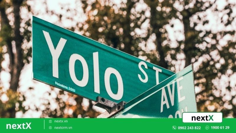 yolo